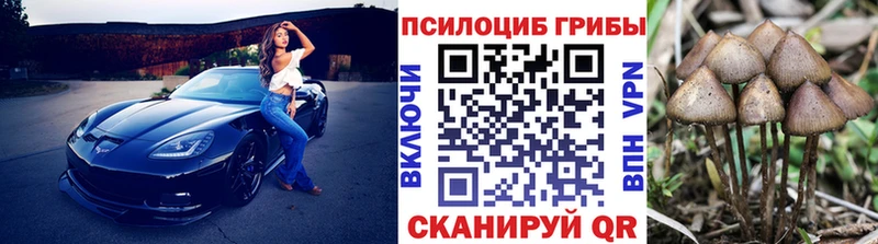 Купить  Александровск-Сахалинский  Галлюциногенные грибы Cubensis 